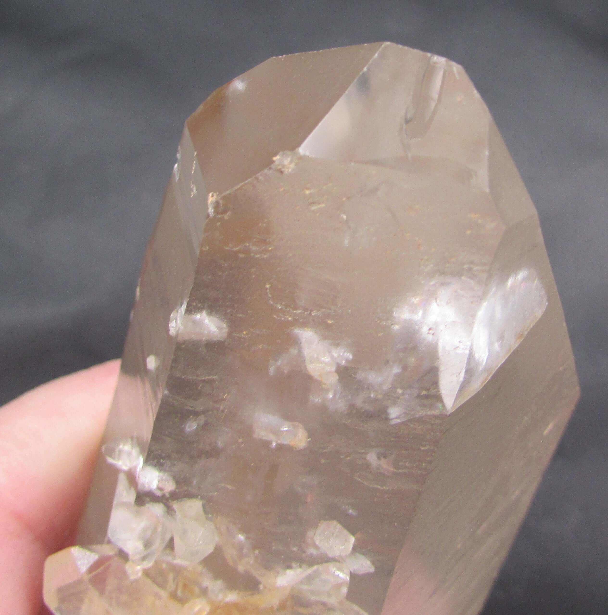Pink Starbrary Window Barnacle Lemurian – Soul Integration, Akashic Access, Cosmic Guidance [FRG106]