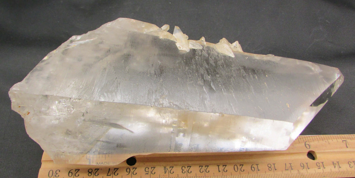 Pink Starbrary Window Barnacle Lemurian – Soul Integration, Akashic Access, Cosmic Guidance [FRG106]