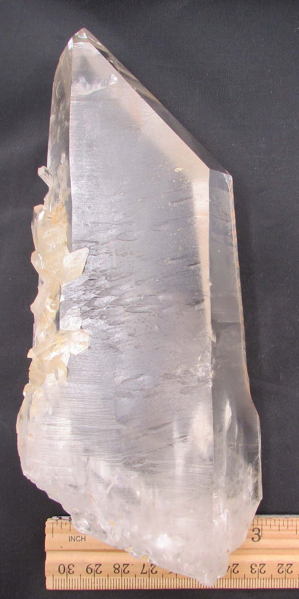 Pink Starbrary Window Barnacle Lemurian – Soul Integration, Akashic Access, Cosmic Guidance [FRG106]