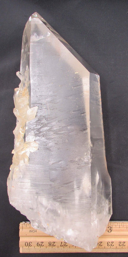 Pink Starbrary Window Barnacle Lemurian – Soul Integration, Akashic Access & Cosmic Guidance | Sacred Keeper