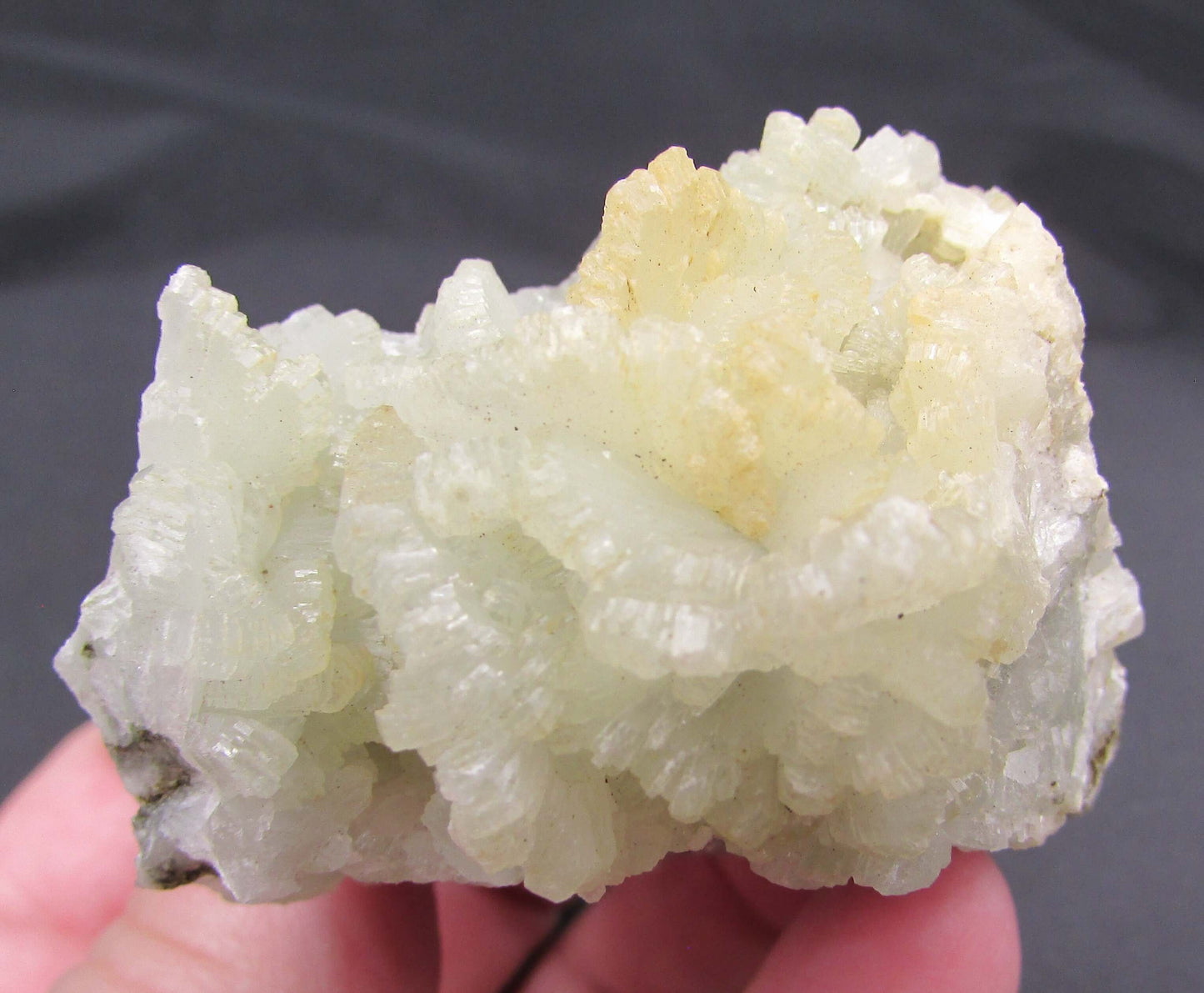 Prehnite (Unpolished, South Africa) – Heal the Healer, Dreaming & Unconditional Love