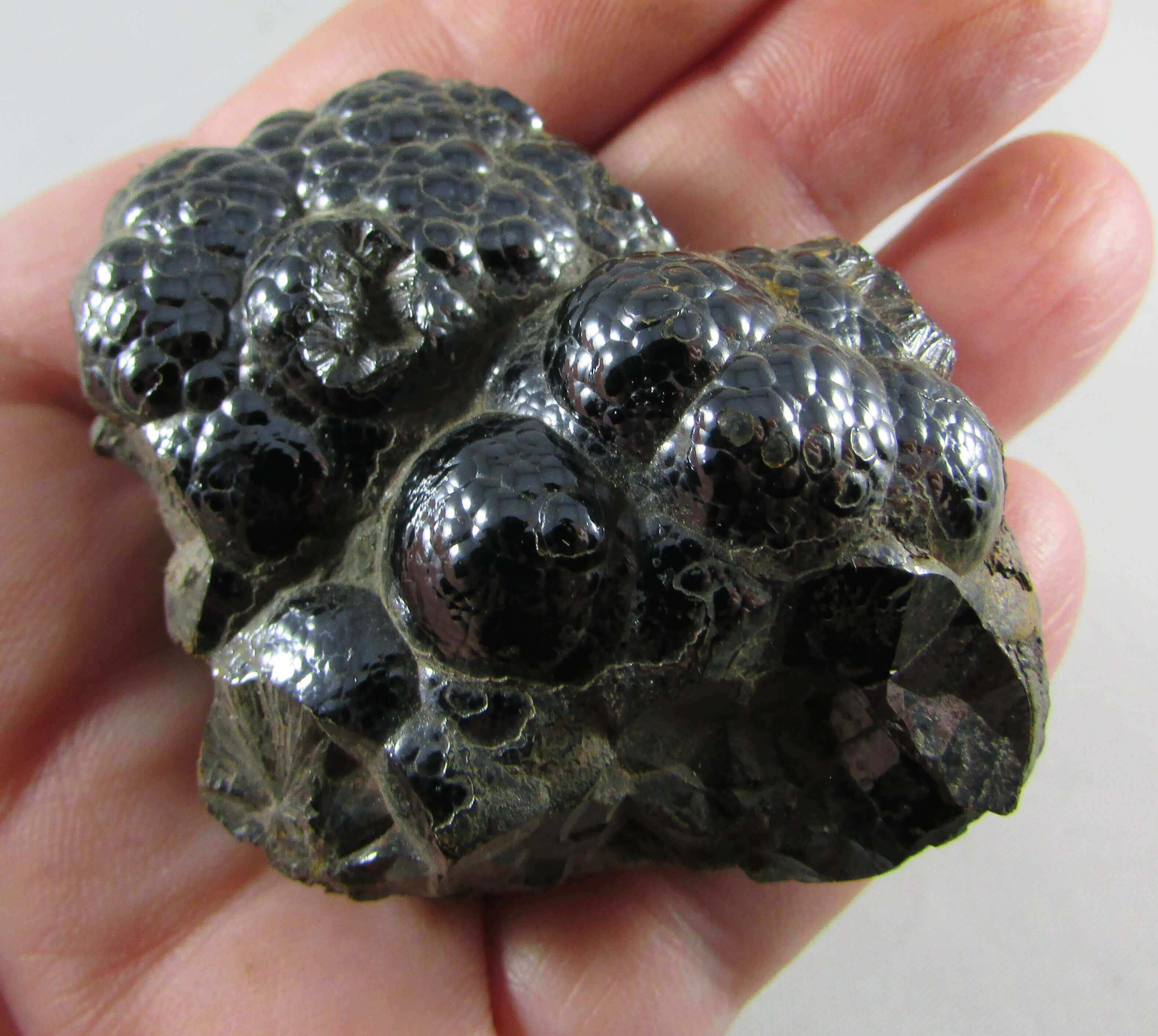 Botryoidal Hematite Nodule – Grounding, Manifestation & Magnetic Protection