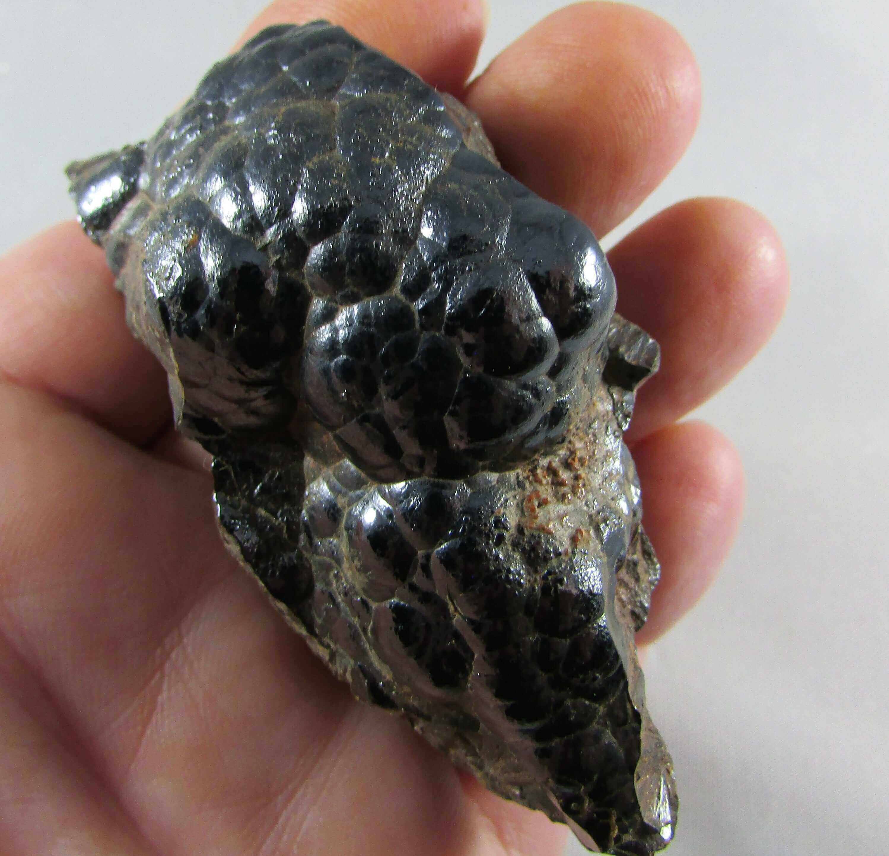 Botryoidal Hematite Nodule – Grounding, Manifestation & Magnetic Protection