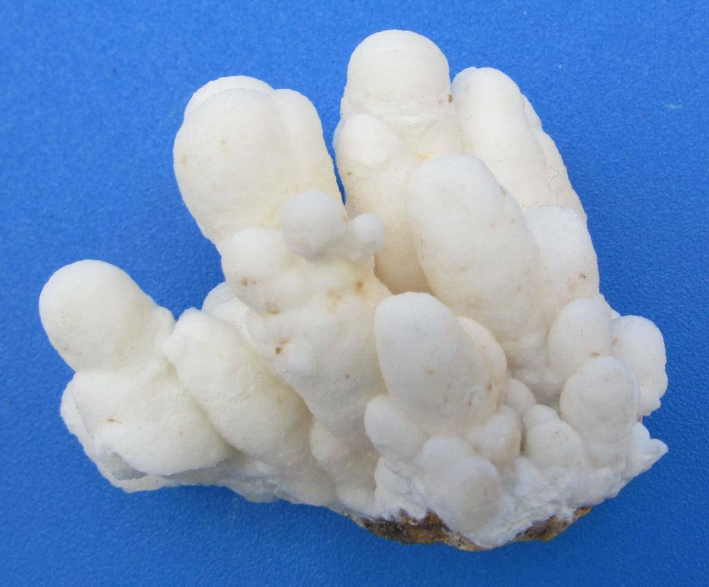 Cave Aragonite Cluster – Truth, Understanding & Spiritual Growth [AMF104]