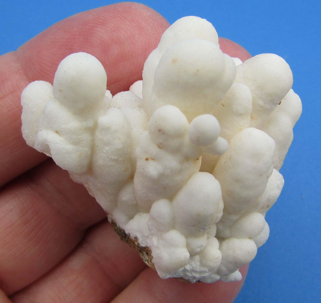 Cave Aragonite Cluster – Truth, Understanding & Spiritual Growth [AMF104]