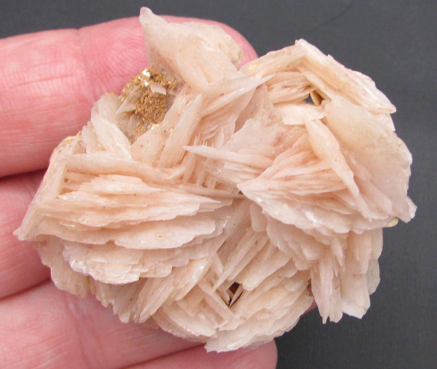 White Barite Crystal Cluster (AM225)