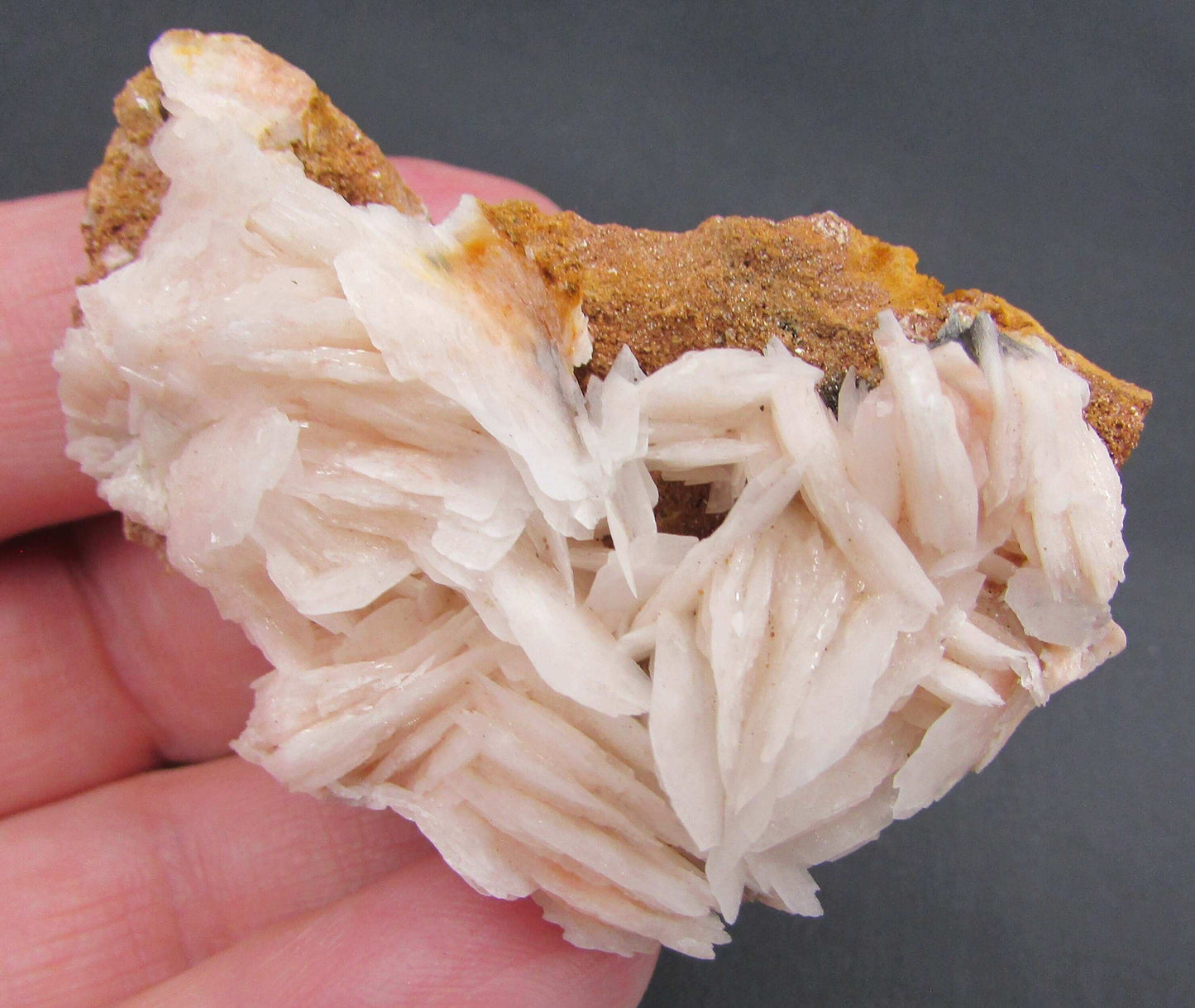 White Barite Crystal Cluster (AM227)