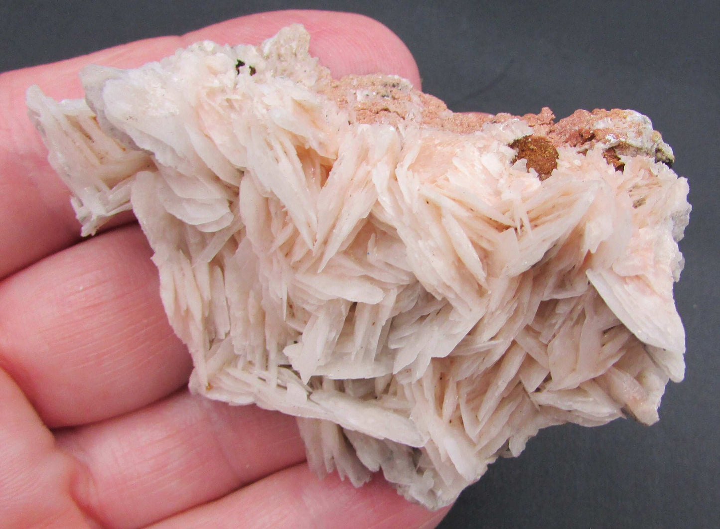 White Barite Crystal Cluster (AM229)