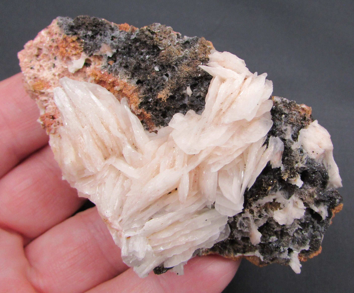 White Barite Crystal Cluster (AM231)
