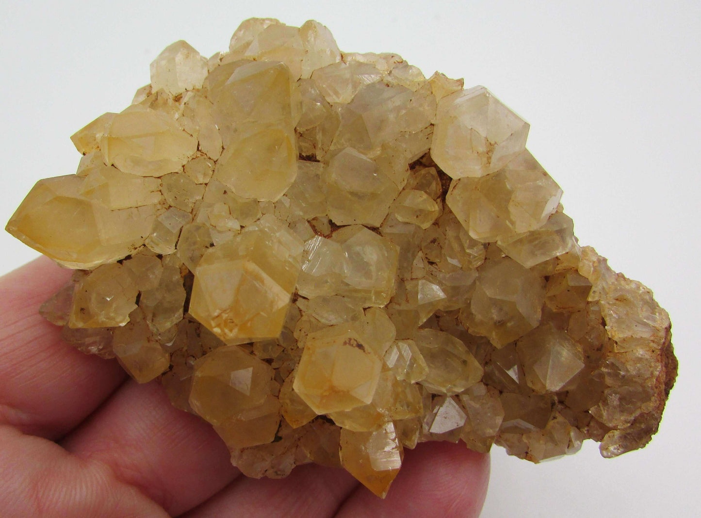 Golden Yellow Healer Crystal Cluster (GD119)