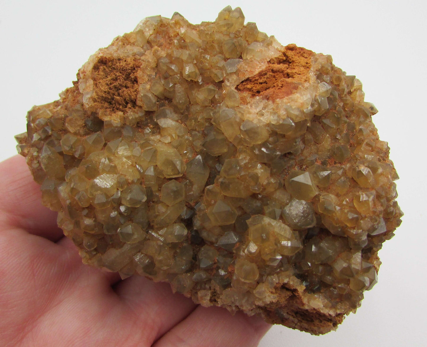 Golden Healer Crystal Cluster | Yellow Hematoid Quartz