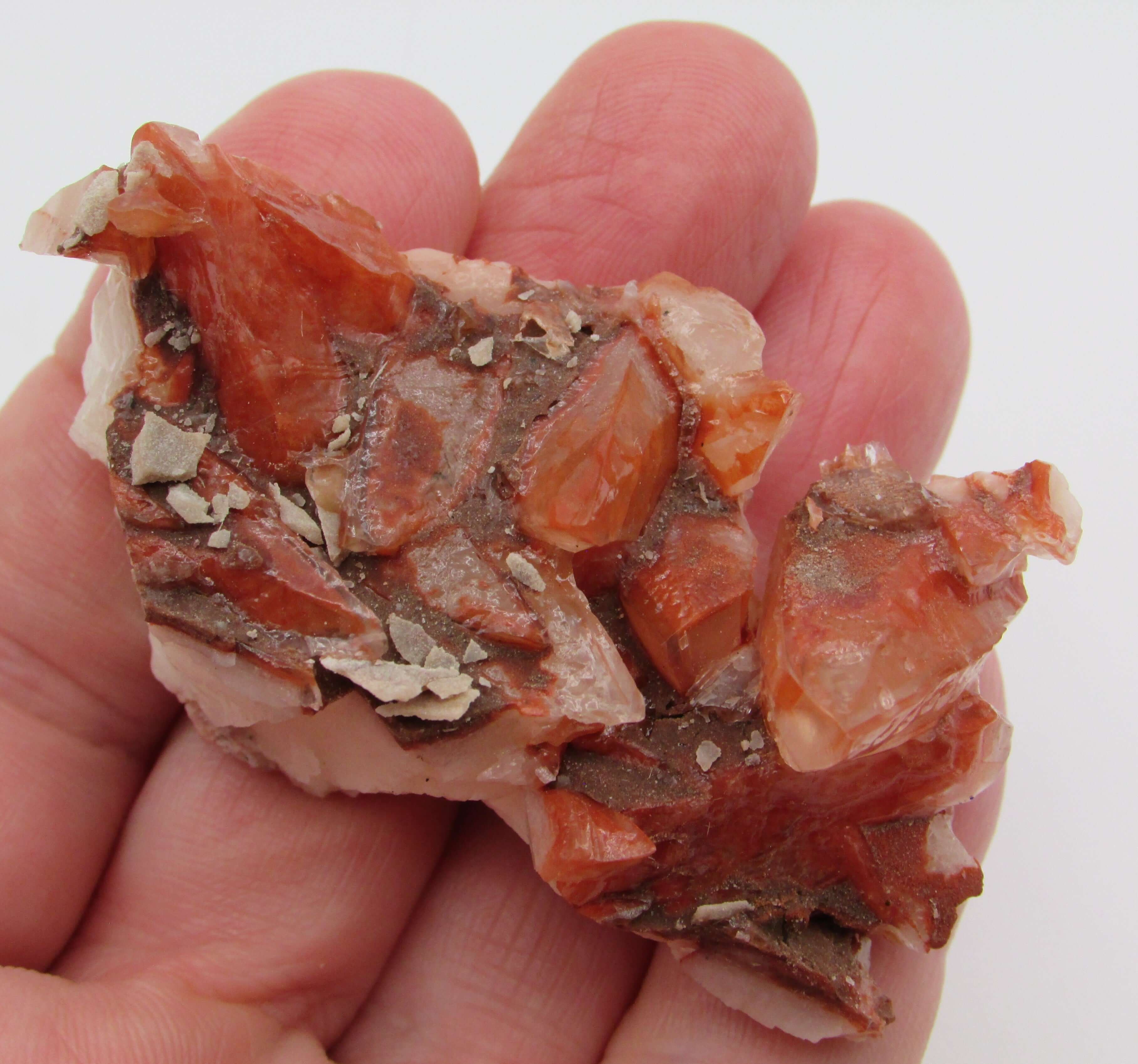 Red Dogtooth Calcite Cluster – Ascension, Mental Clarity & Manifestation Fire | Protective Root–Crown Power Stone