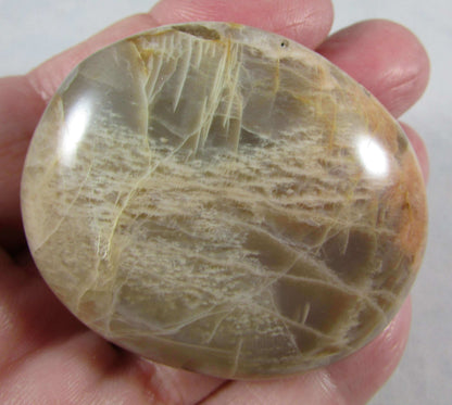 peach moonstone crystal palmstone, worry stone, madagascar