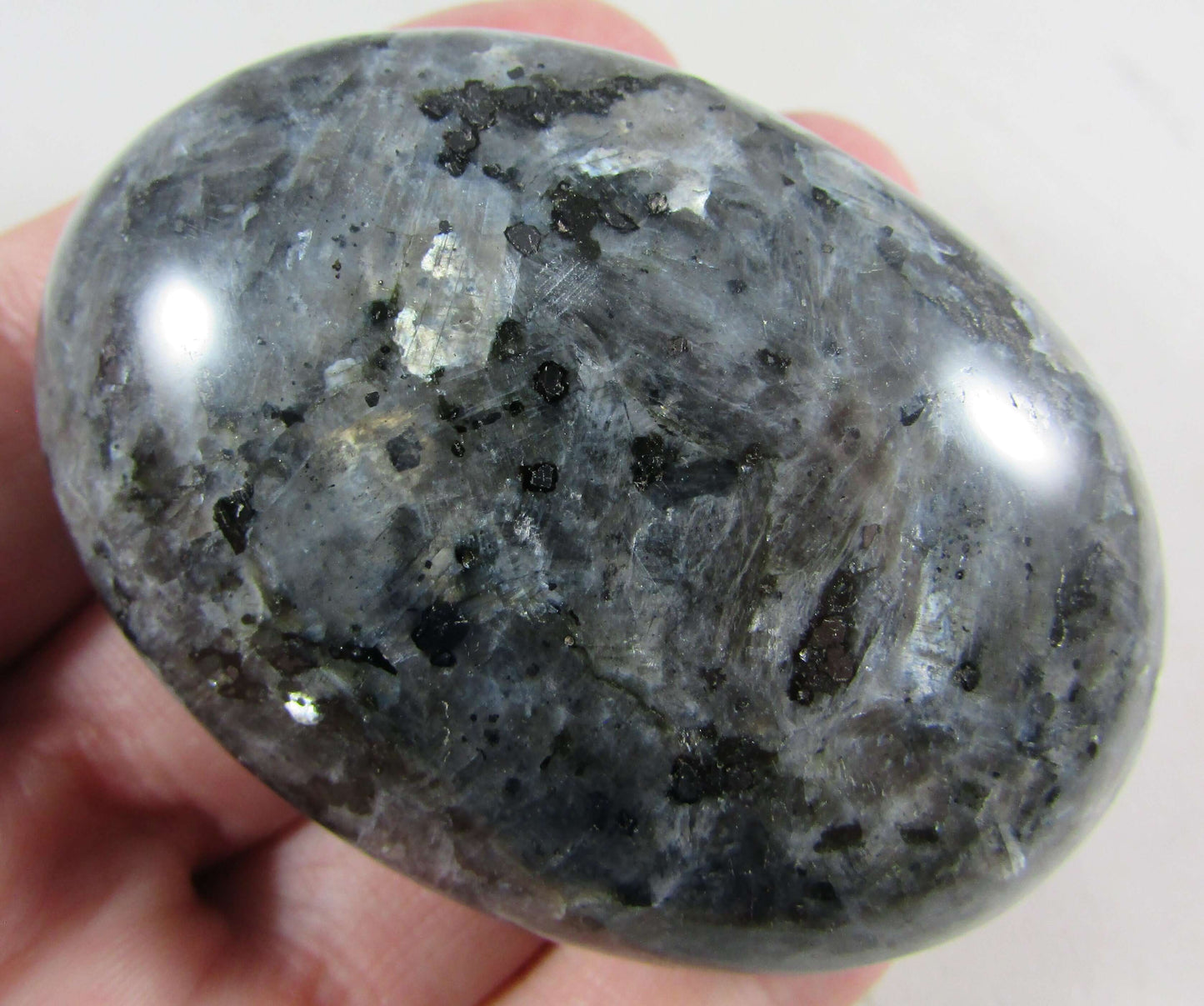 Blue Pearl Palmstone - Stone of Imagination and Inspiration