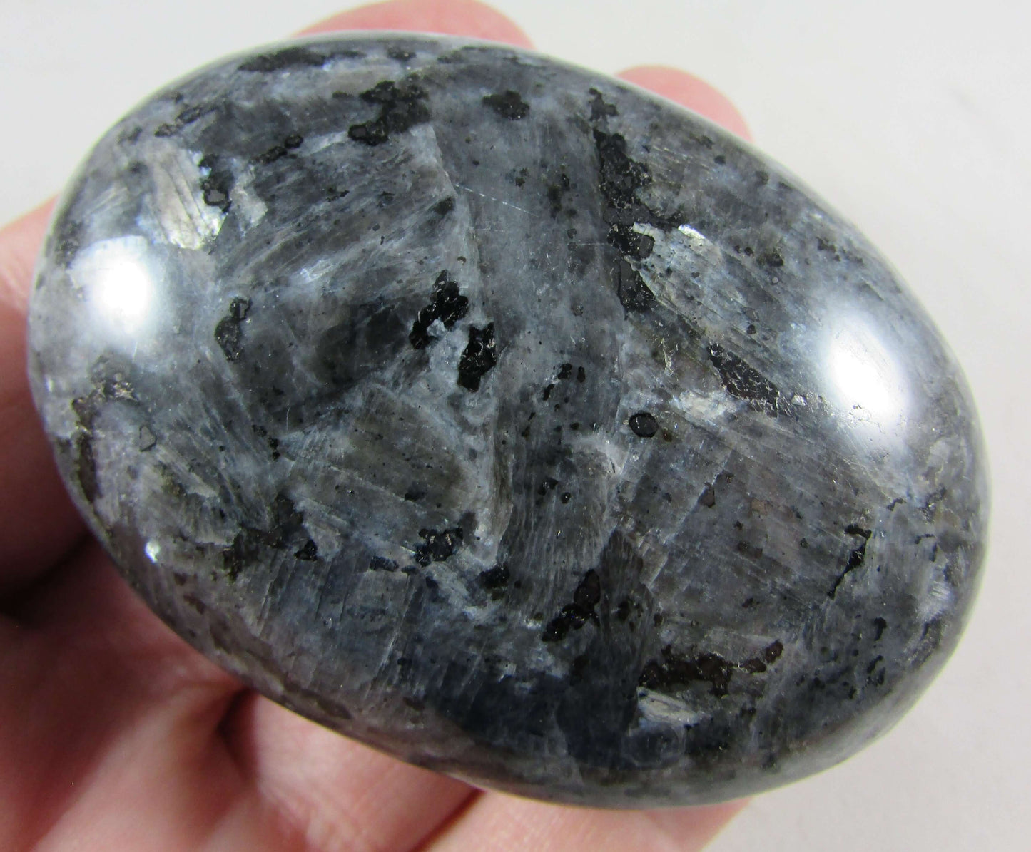 Blue Pearl Palmstone - Stone of Imagination and Inspiration