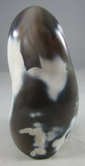 Orca Agate – Songs, Truth & Forgiveness | Protective Communication Stone