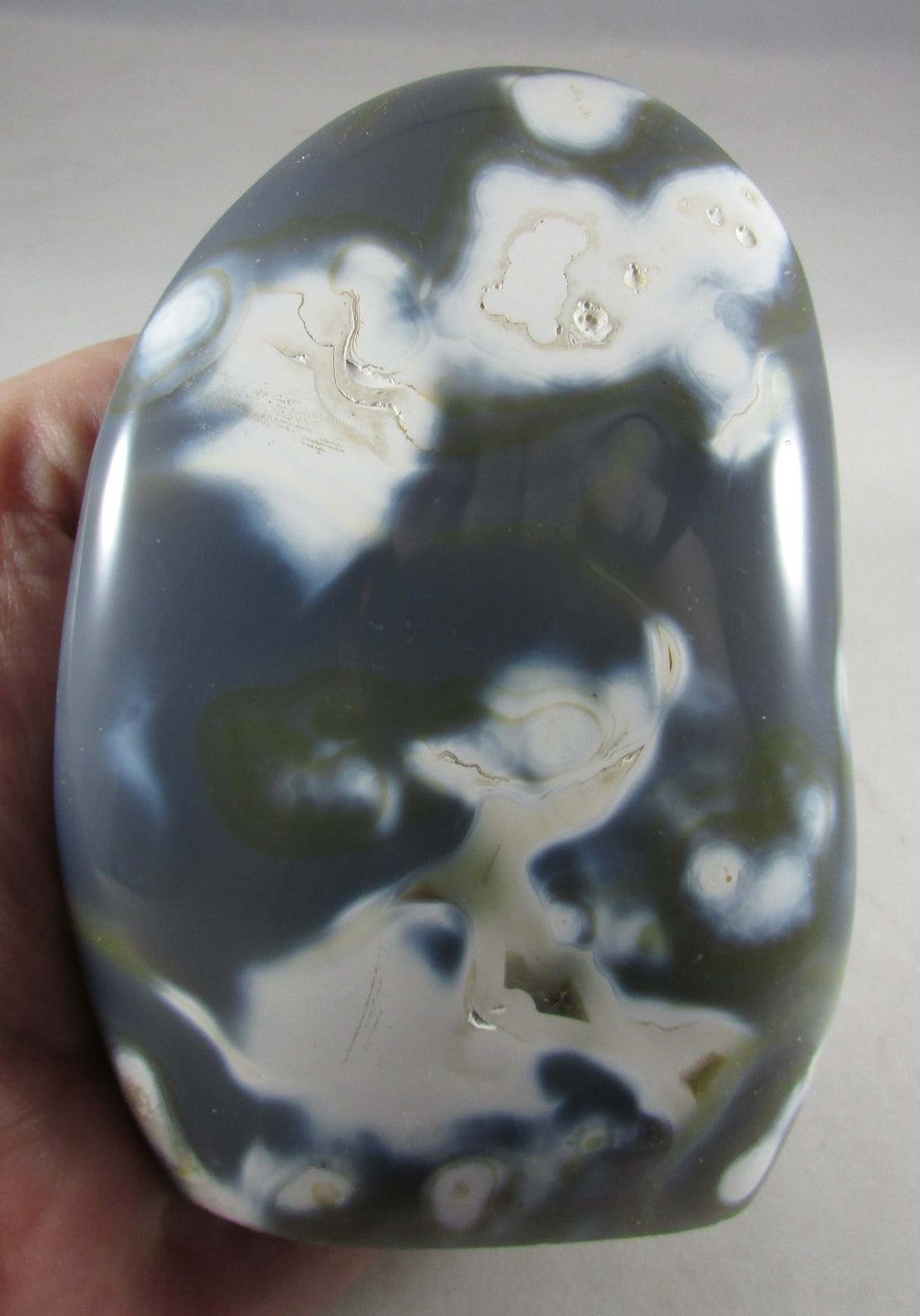 Orca Agate Freeform – Reveal Hidden Truths, Communication, Life Path Clarity [MM280]