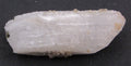 Danburite Point – Stone of Inner Enlightenment, Spiritual Transformation, Channeling [GM180]