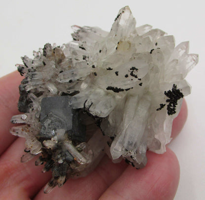 Sphalerite Quartz Matrix Crystal Cluster Bulgaria