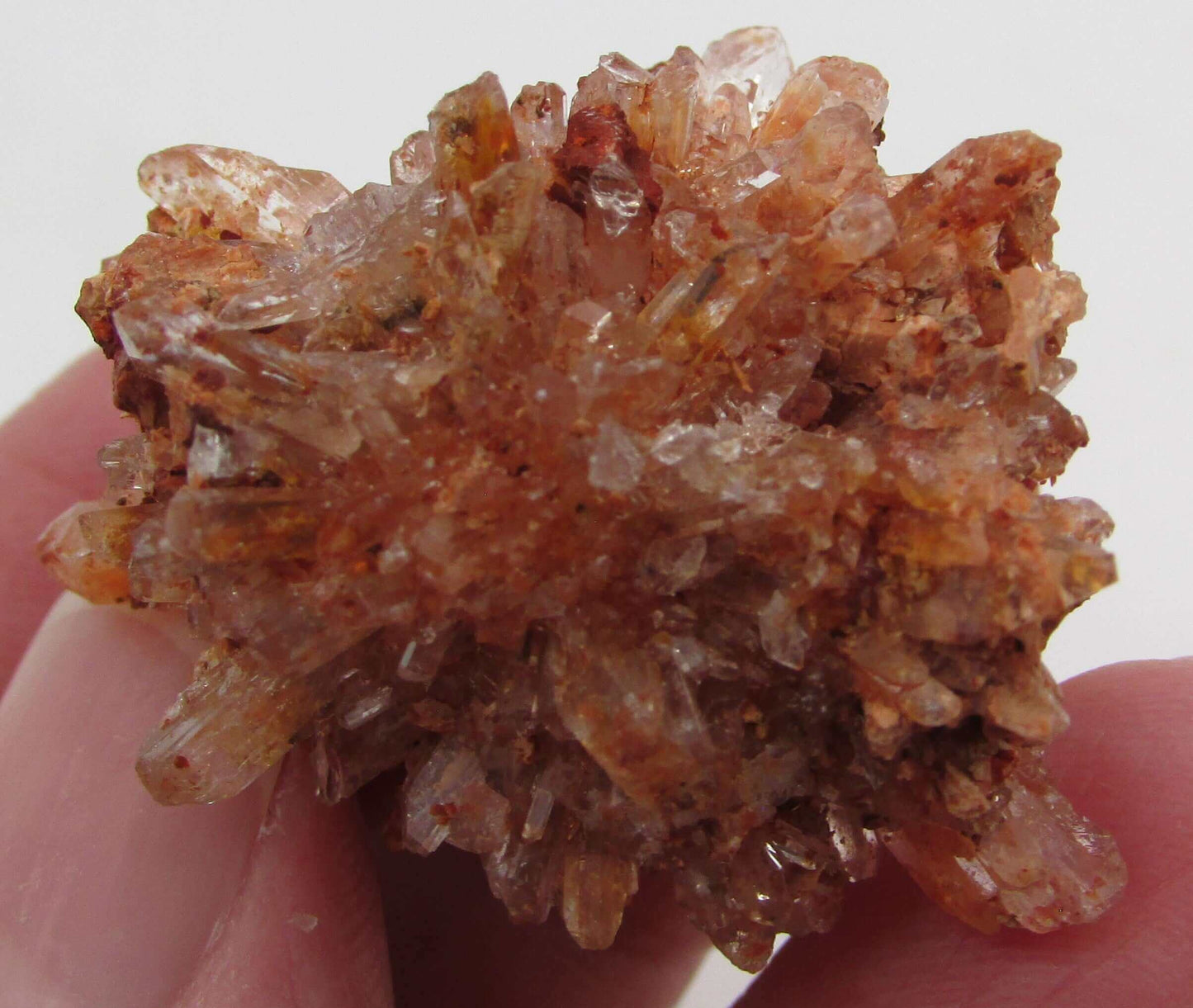 Creedite Cluster, Mexico Crystals (GM243)
