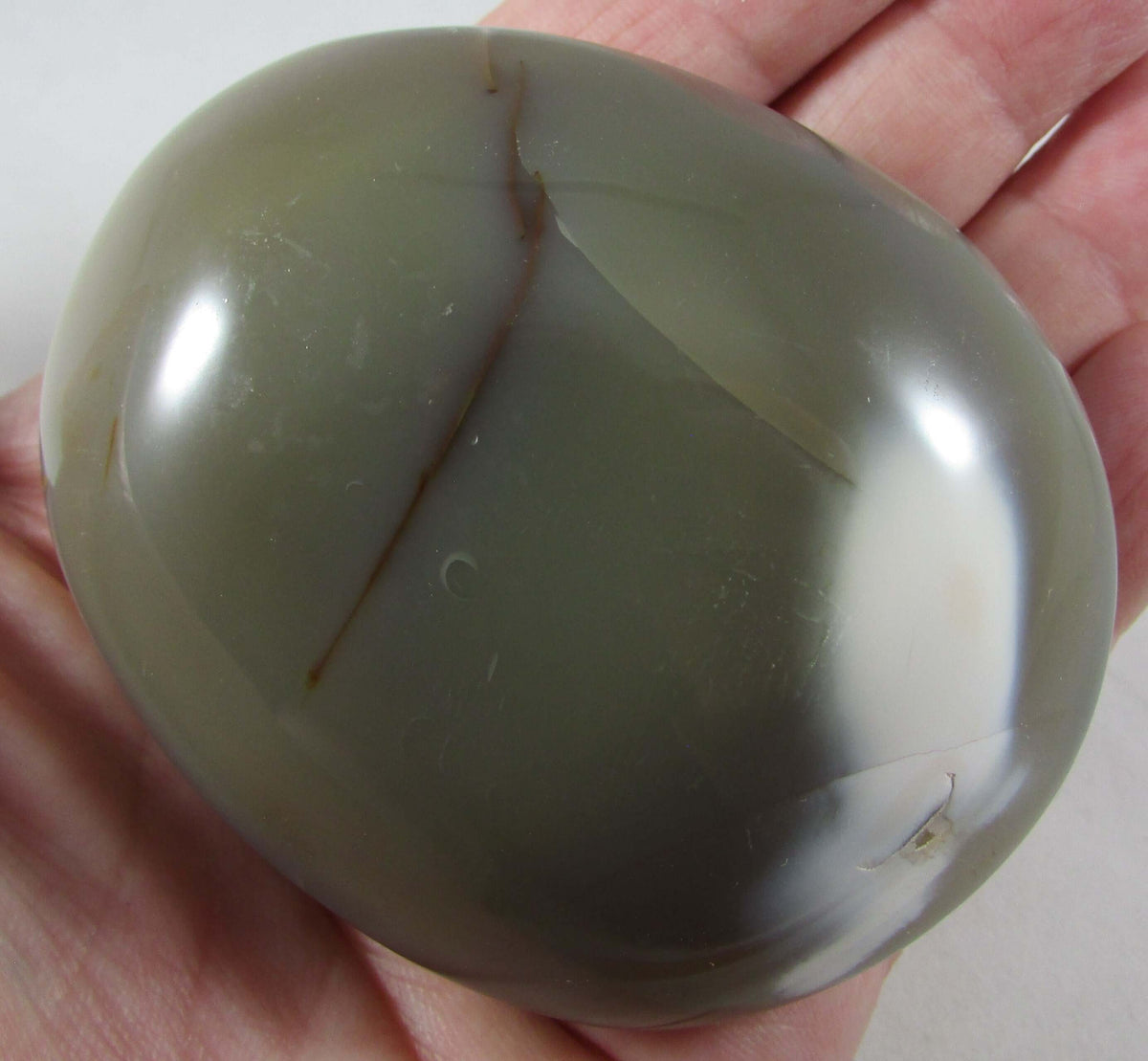 Orca Agate Palmstone – Reveal Hidden Truths, Communication, Life Path Clarity [MM398]