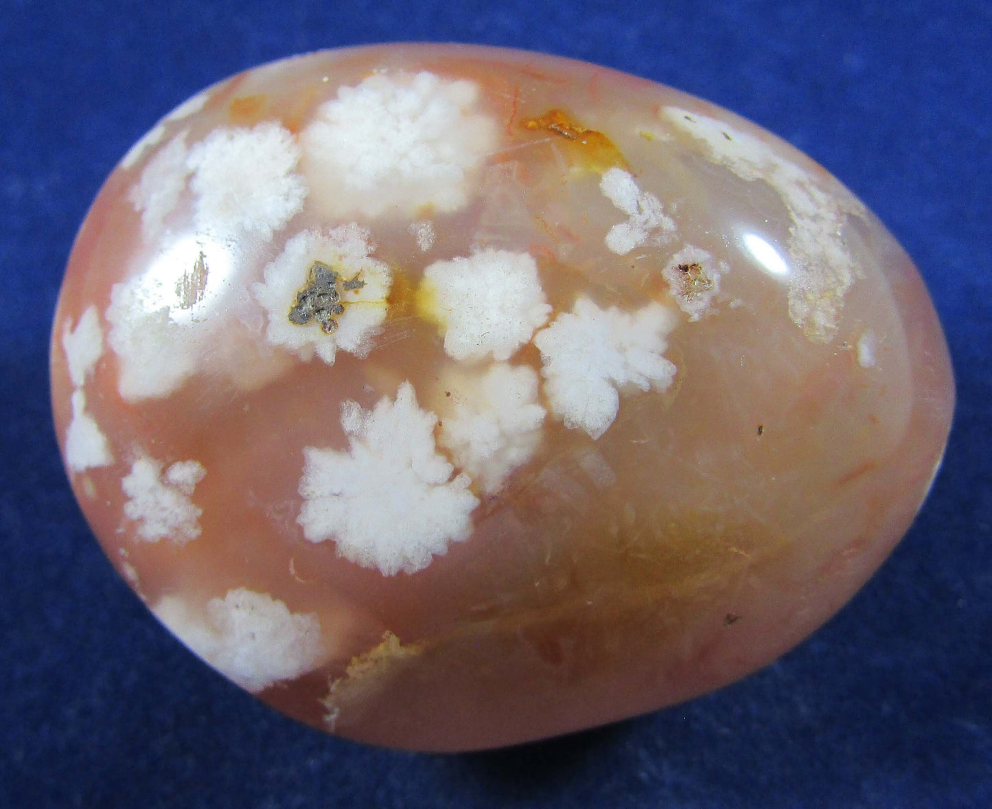 Flower Agate - Stone of Self Growth