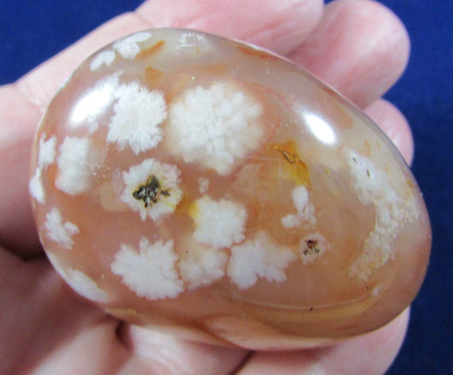 Flower Agate - Stone of Self Growth