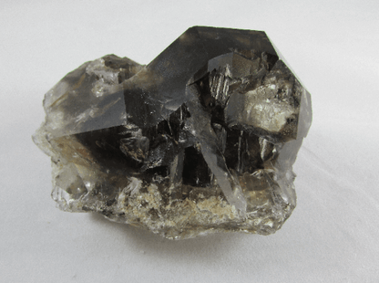 Smoky Alligator Quartz crystal brazil