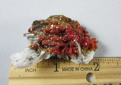 Natural Vanadinite Barite Crystal Specimen Morocco mineral