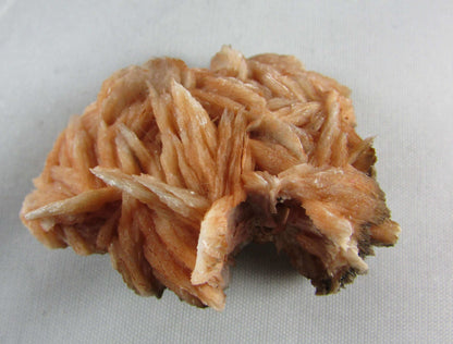 rose barite, desert rose barite crystal cluster, morocco