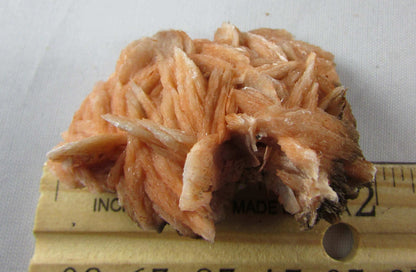 rose barite, desert rose barite crystal cluster, morocco