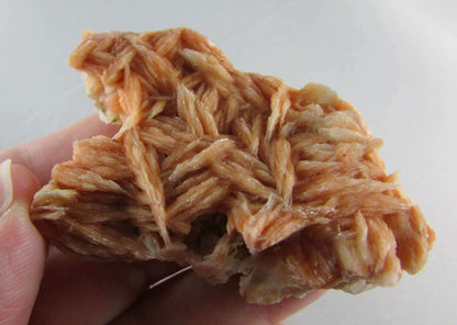 rose barite, desert rose barite crystal cluster, morocco