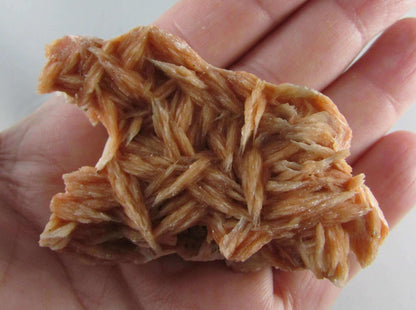 rose barite, desert rose barite crystal cluster, morocco