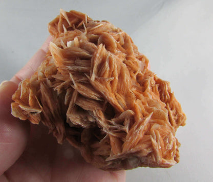 rose barite, desert rose barite crystal cluster, morocco