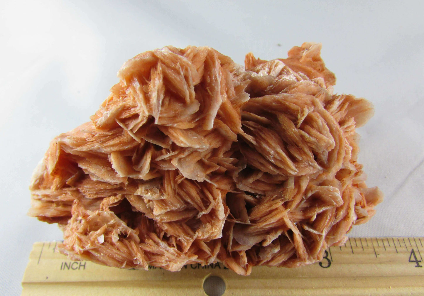 Rose Barite Cluster, Morocco (#22) Crystals