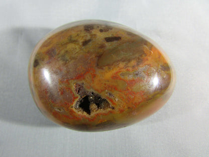 petrified wood polished palmstonel, genuine petrified wood