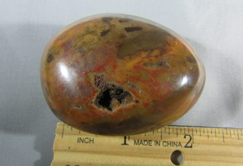 petrified wood polished palmstonel, genuine petrified wood