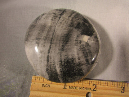 petrified wood polished palmstonel, genuine petrified wood