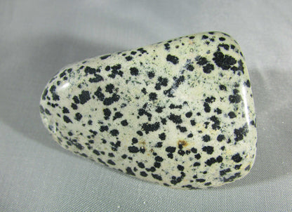 dalmatian jasper, natural crystal palmstone, touchstone