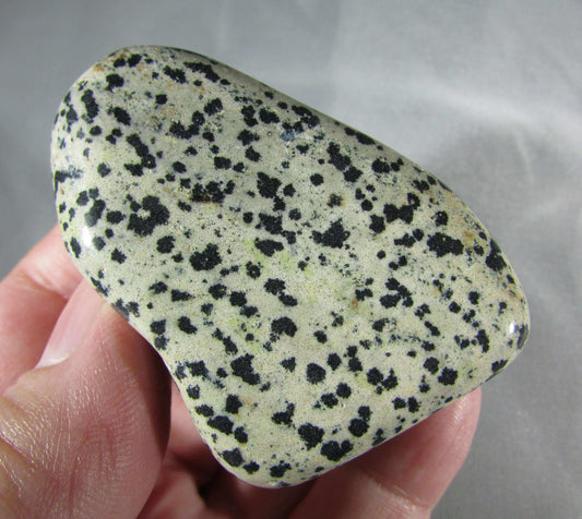 dalmatian jasper, natural crystal palmstone, touchstone