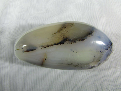 tree agate, natural polished agate crytsal palmstone