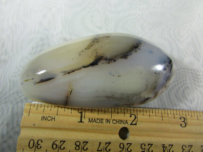 tree agate, natural polished agate crytsal palmstone