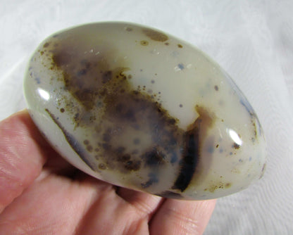 tree agate, natural polished agate crytsal palmstone