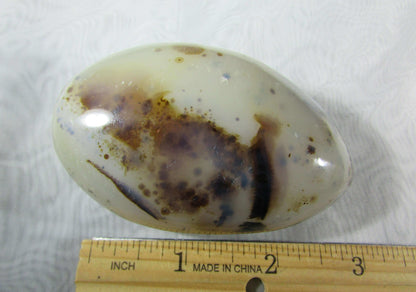 tree agate, natural polished agate crytsal palmstone