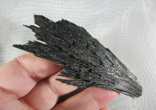 Witches Broom, Black Kaynite, Brazil (BR519) Crystals