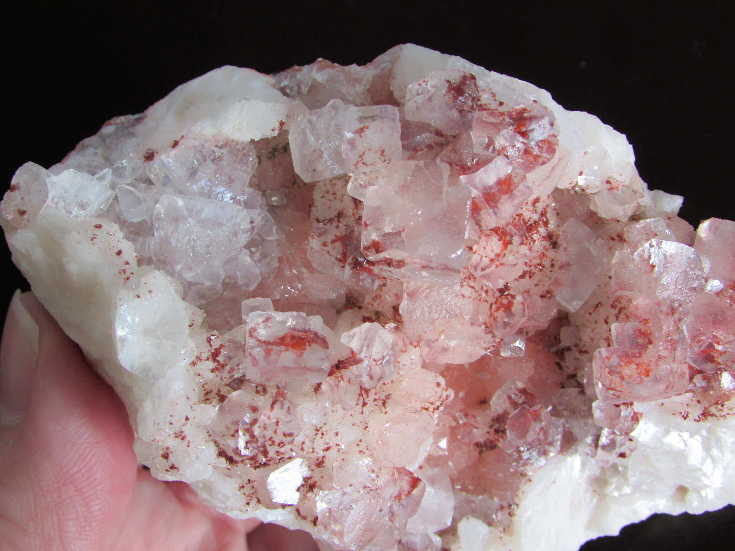 rare red Apophyllite crystal cluster India crystal