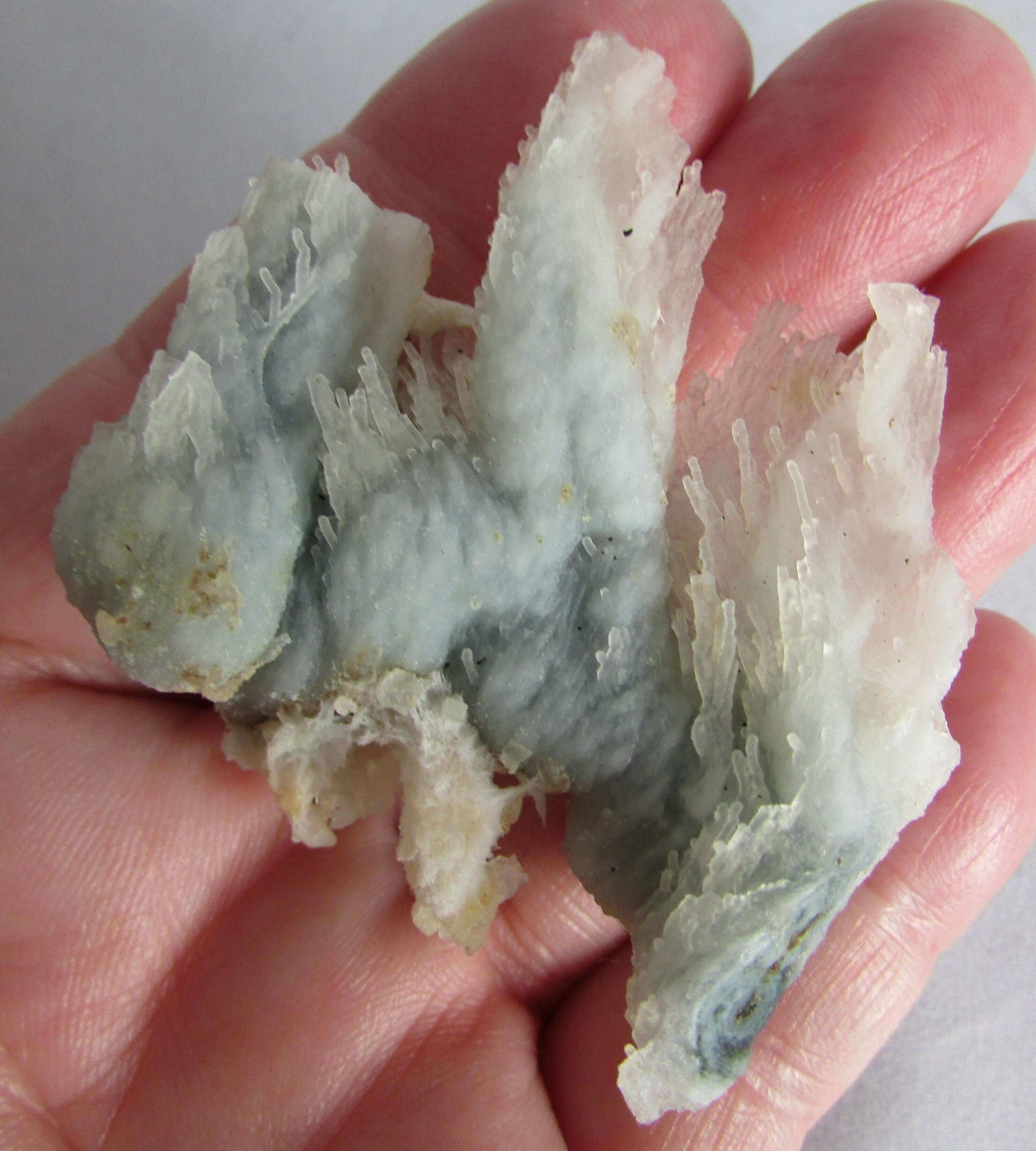 Rare raw Windswept Blue Chalcedony India Mineral Specimen