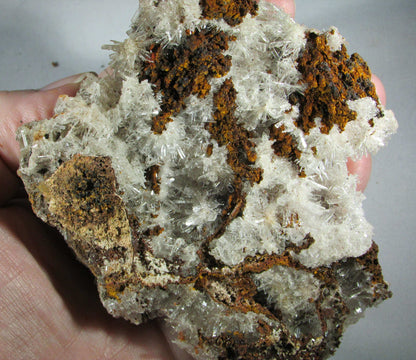 genuine natural Hemimorphite Mimetite Crystal Cluster, Durango Mexico