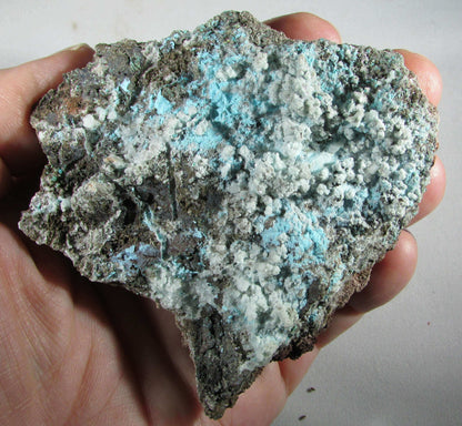 Natural genuine Aurichalcite and Aragonite on Copper from Durango, Mexico