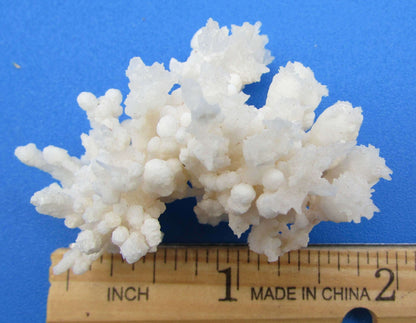 Cave Aragonite Cluster, Mineral Specimen Morocco